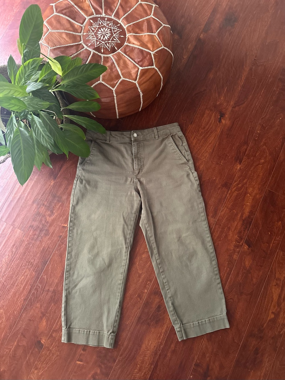 Everlane Utility Straight Cropped Pants Olive